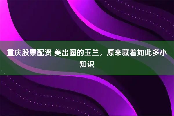 重庆股票配资 美出圈的玉兰，原来藏着如此多小知识